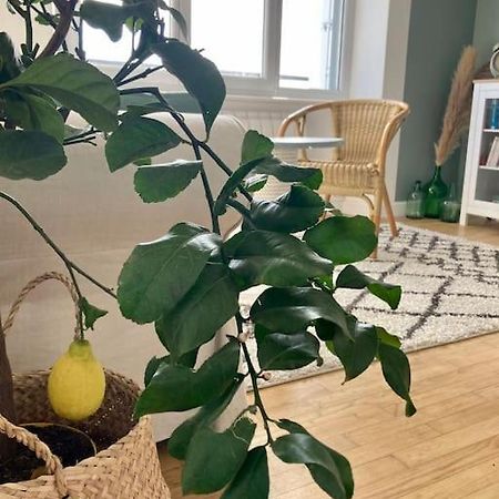 Le Citronnier Leilighet Fouesnant Eksteriør bilde